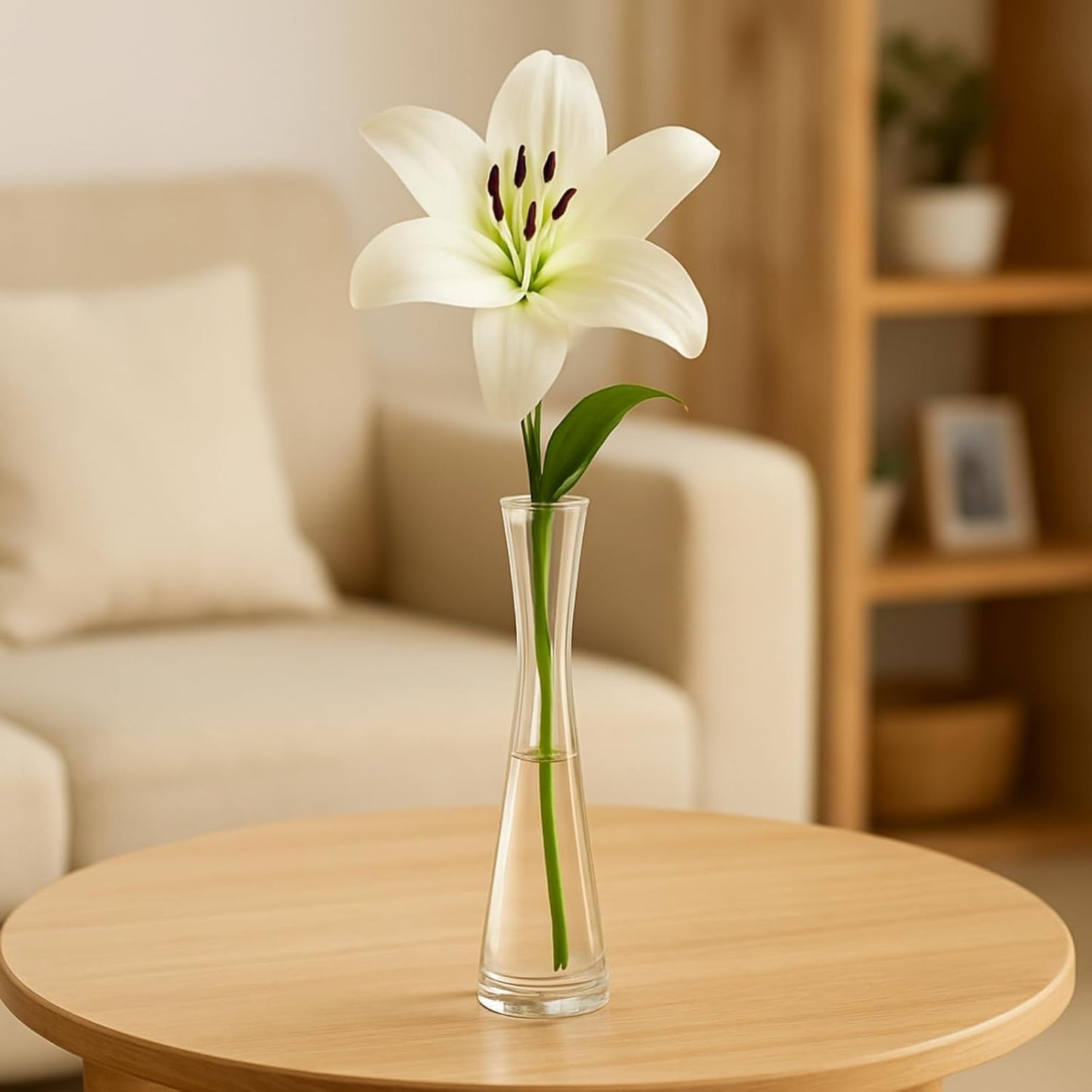 Plant Vase - 8 Inche