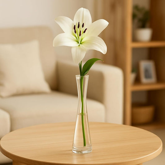 Plant Vase - 8 Inche
