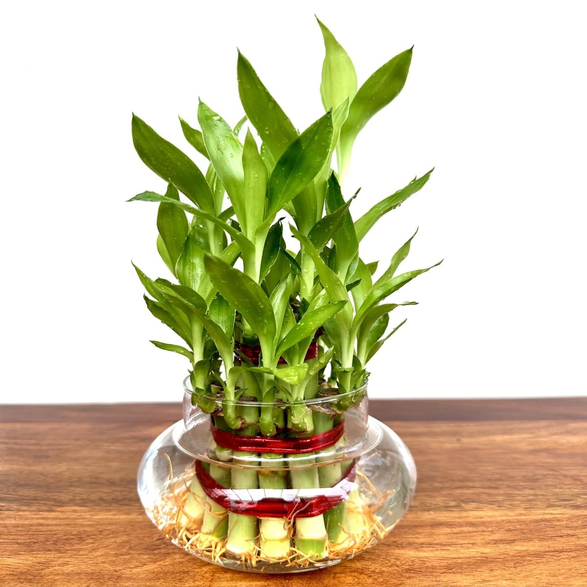 Bamboo Plant Pot - 2 layer