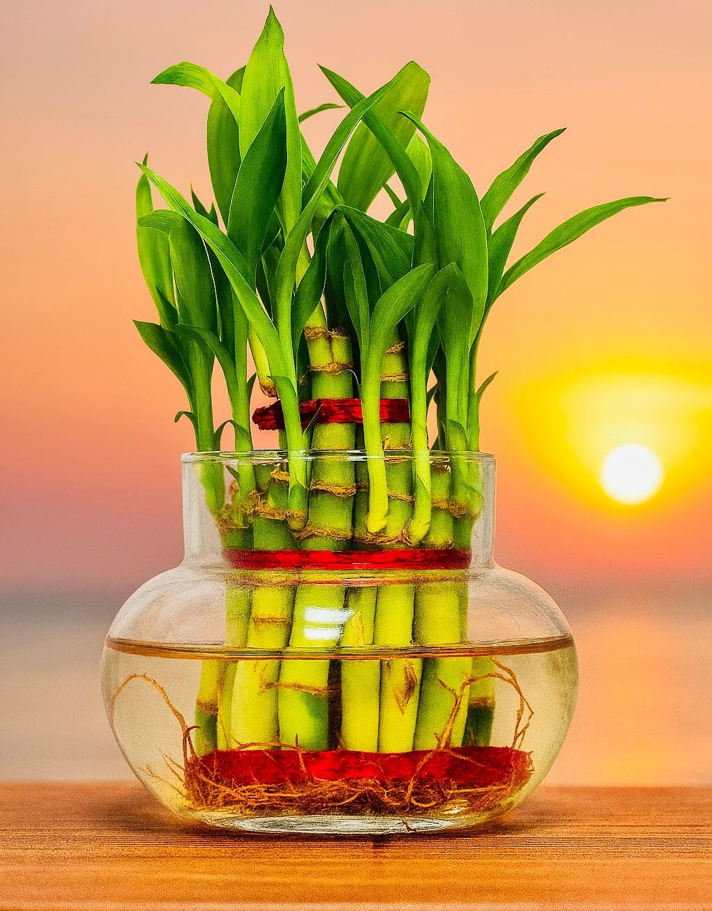 Bamboo Plant Pot - 2 layer